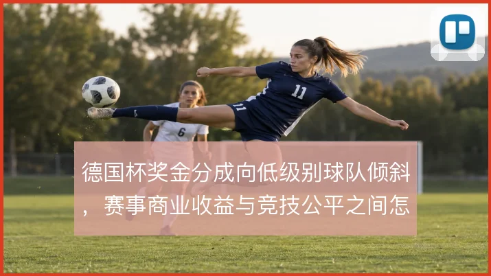 德国杯奖金分成向低级别球队倾斜，赛事商业收益与竞技公平之间怎么解